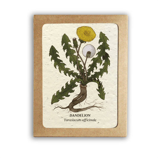 Card with dandelion illustration on a beige background