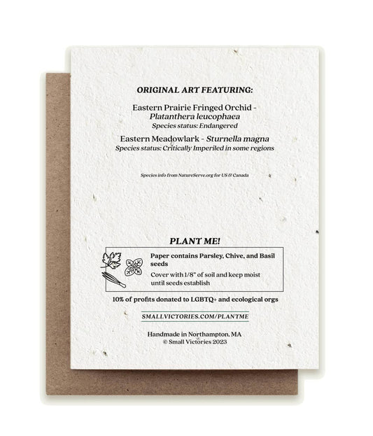 Seed paper card with plantable seeds and information about endangered species.