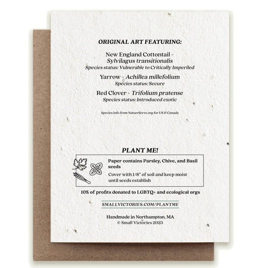 Seed paper card with plantable seeds and information on a white background