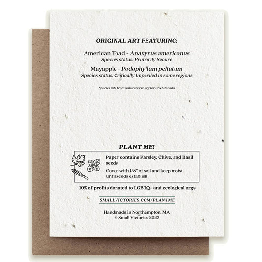 Seed paper card with plantable seeds and information on a white background