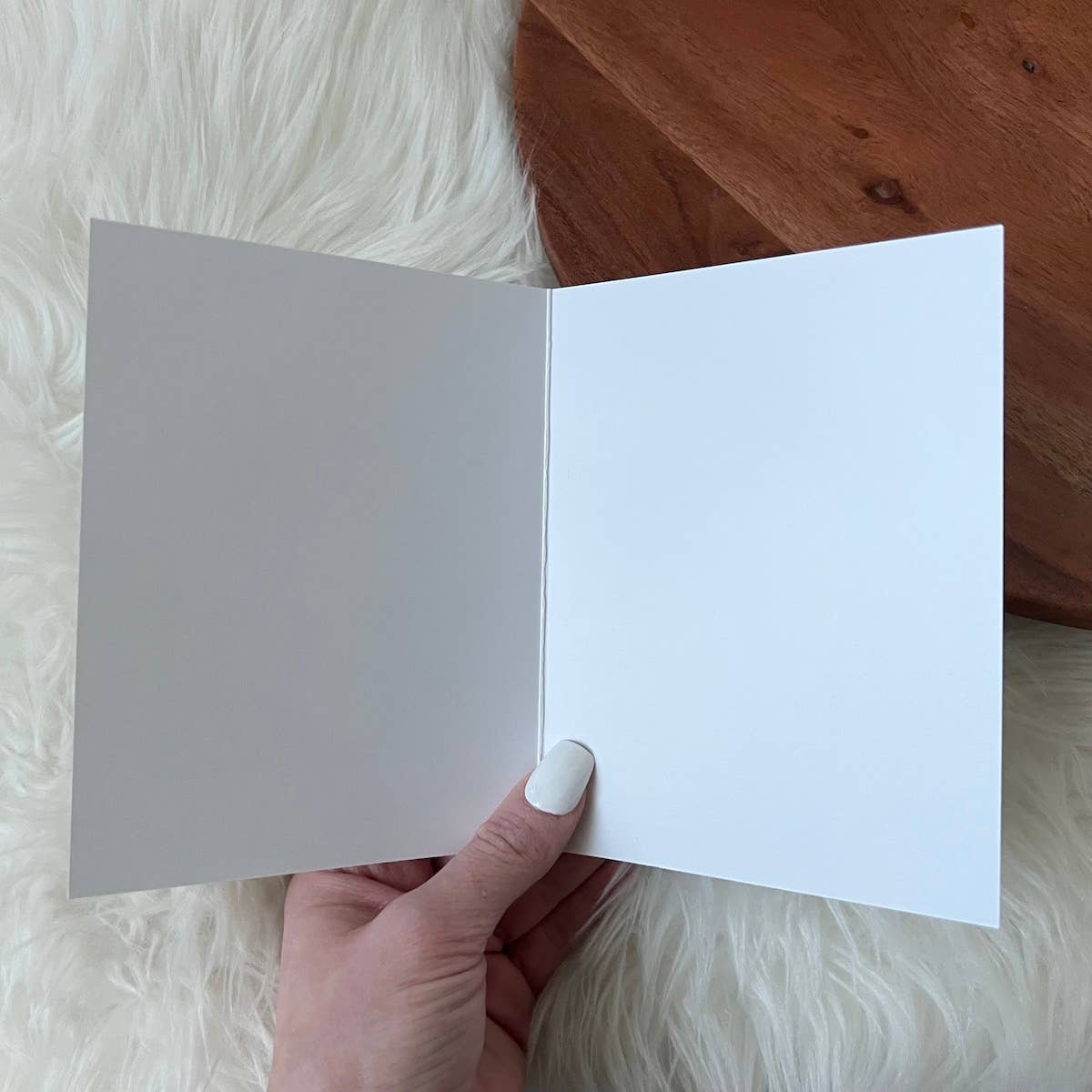 Happy Birthday Fossil Birthday Card