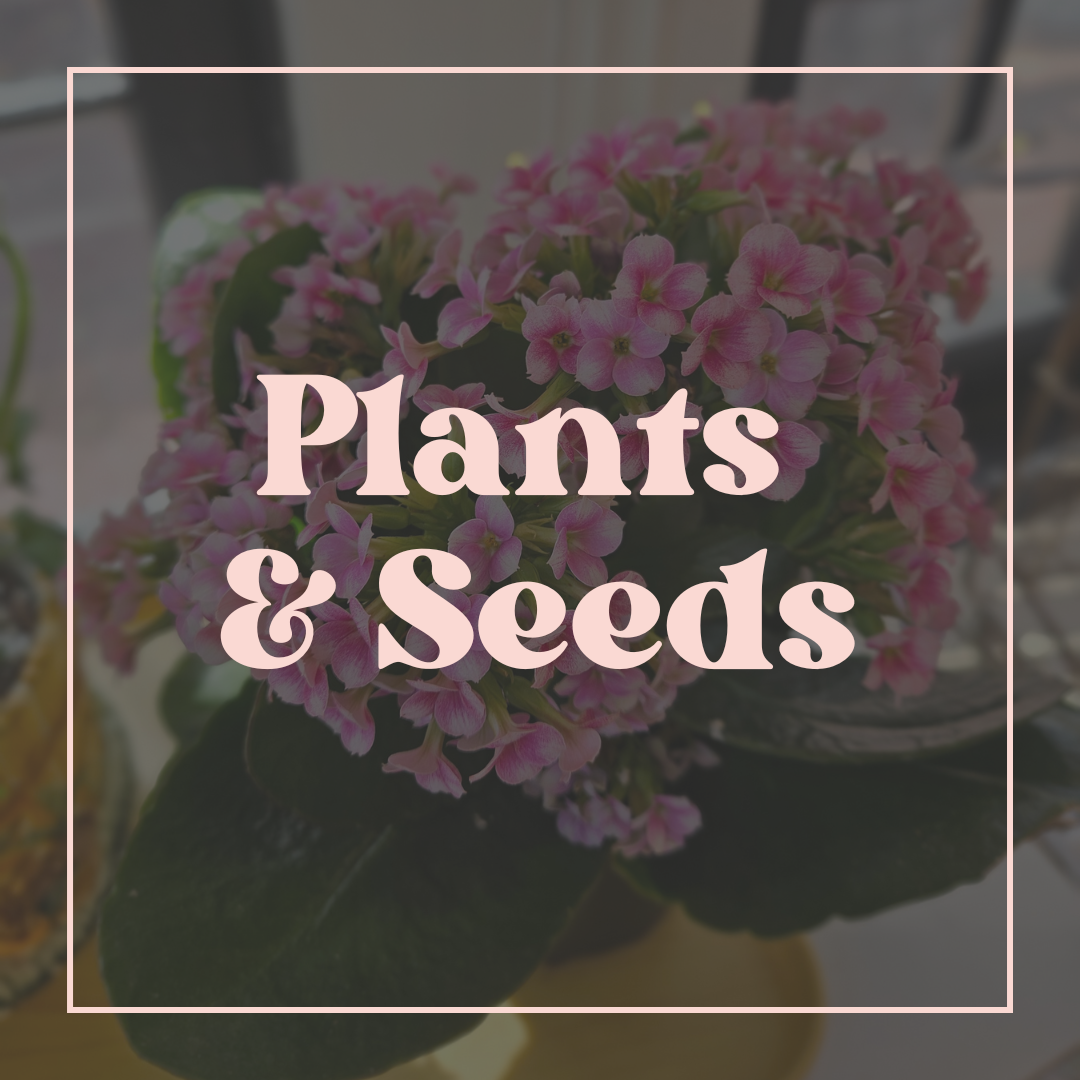 Plants & Seeds