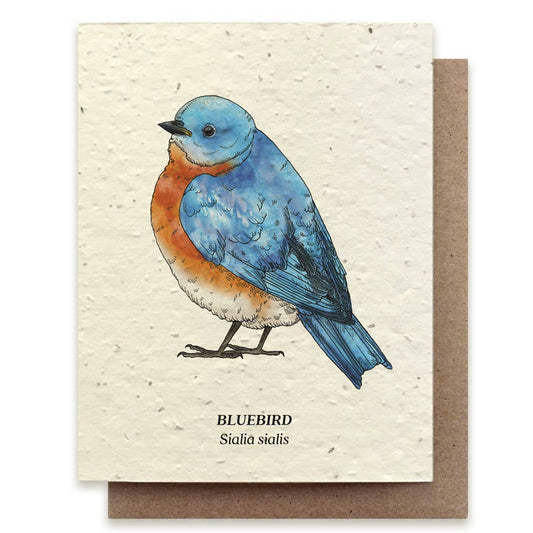 Card with a bluebird illustration on a textured beige background