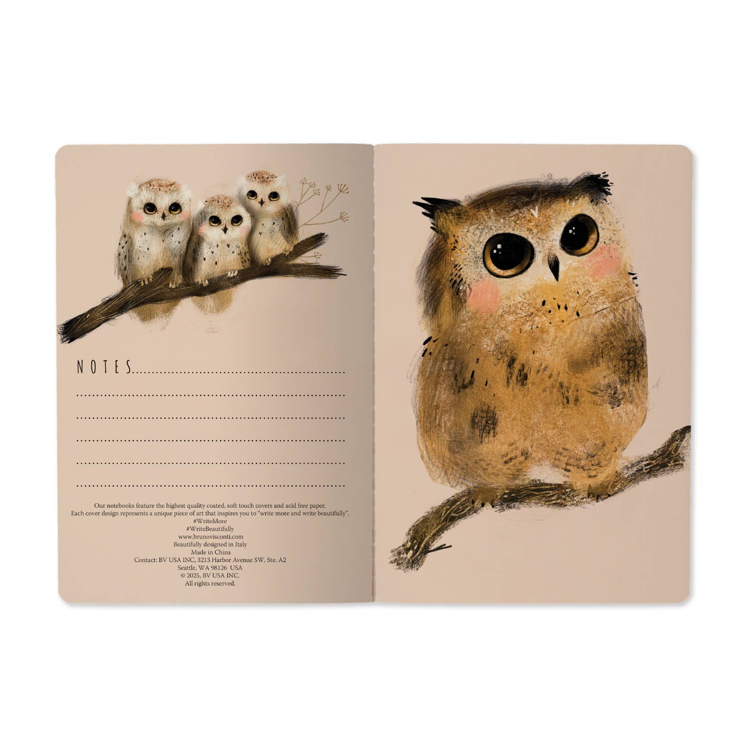 Open notebook with owl illustrations on a beige background