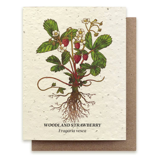 Card with illustration of woodland strawberry plant and roots on a beige background