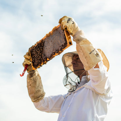 Person in a beekeeping suit holding a honeycomb frame against a clear sky.
