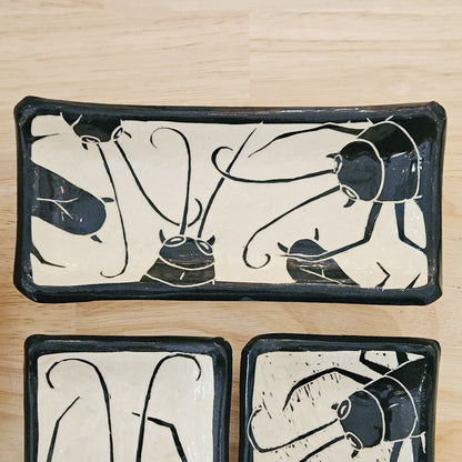 Cockroach Tray
