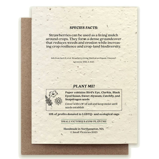 Seed paper product with text about strawberries and planting instructions on a white background