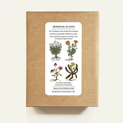 Kraft paper box with botanical illustrations and text on a white background