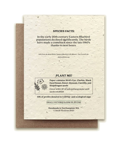 Seed paper card with text and plantable seeds on a white background