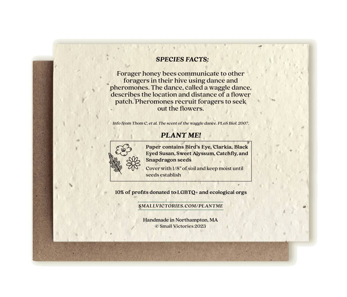 Seed paper card with bee communication facts and plantable seeds on a white background