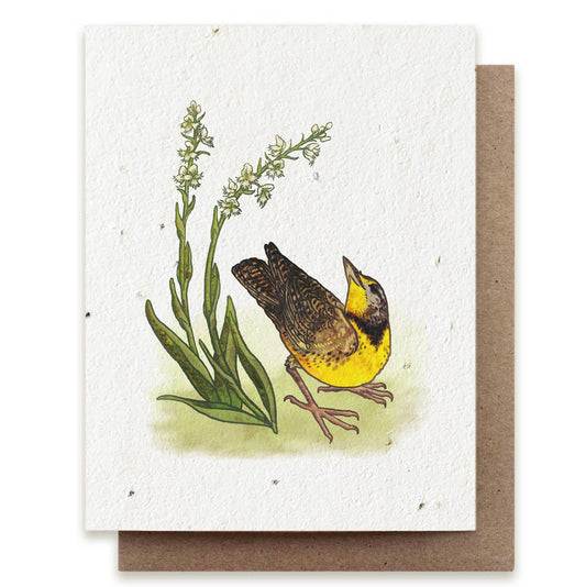 Greeting card with a bird illustration and plant elements on a white background