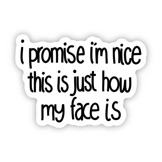 Sticker with text 'i promise i'm nice this is just how my face is' on a white background