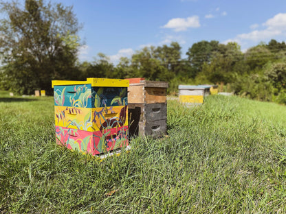 Colorful bee hives in a grassy field with trees in the background