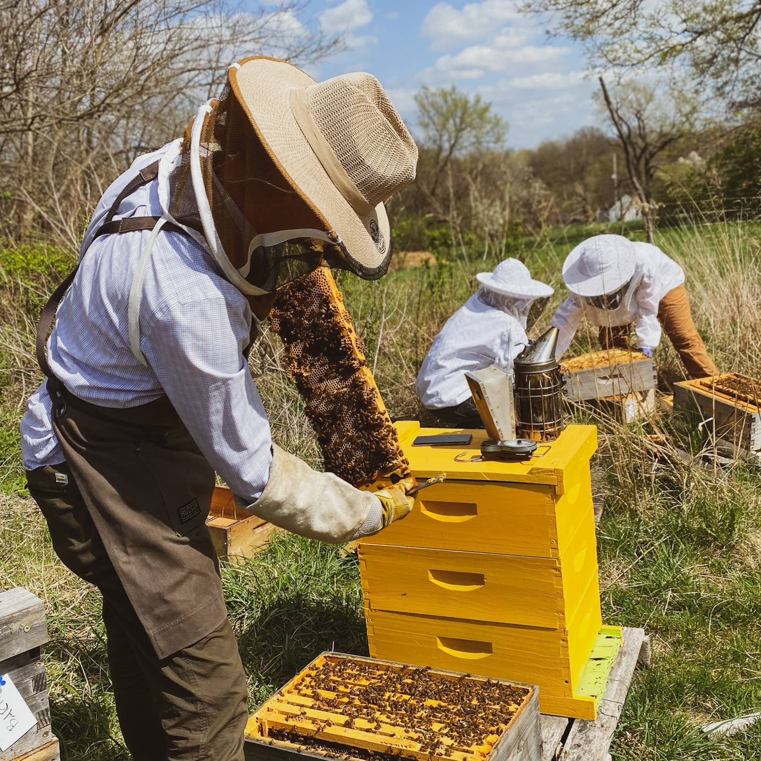 Three people wearing beekeeping suits and hats working with a beehive in an outdoor setting.