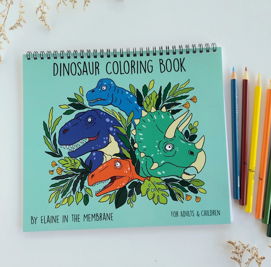 Dinosaur Coloring Book For Adults and Children|243