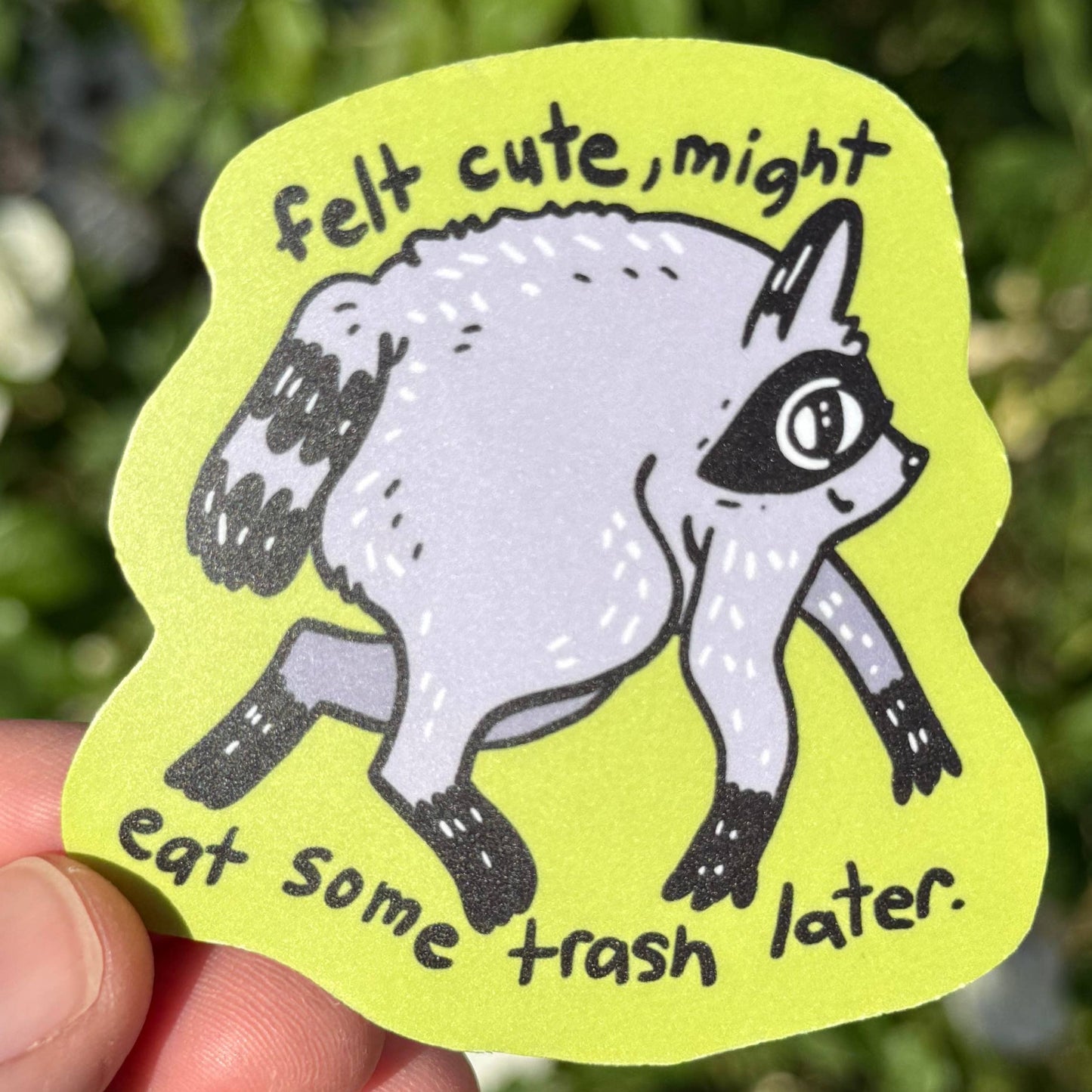 A hand holds a die-cut sticker featuring a cartoon raccoon with the text 'felt cute, might eat some trash later.' The sticker is lime green with a gray and black raccoon illustration, photographed outdoors against a blurred green and white flowering background.