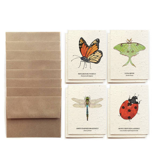 Set of greeting cards with butterfly illustrations and a brown envelope on a white background