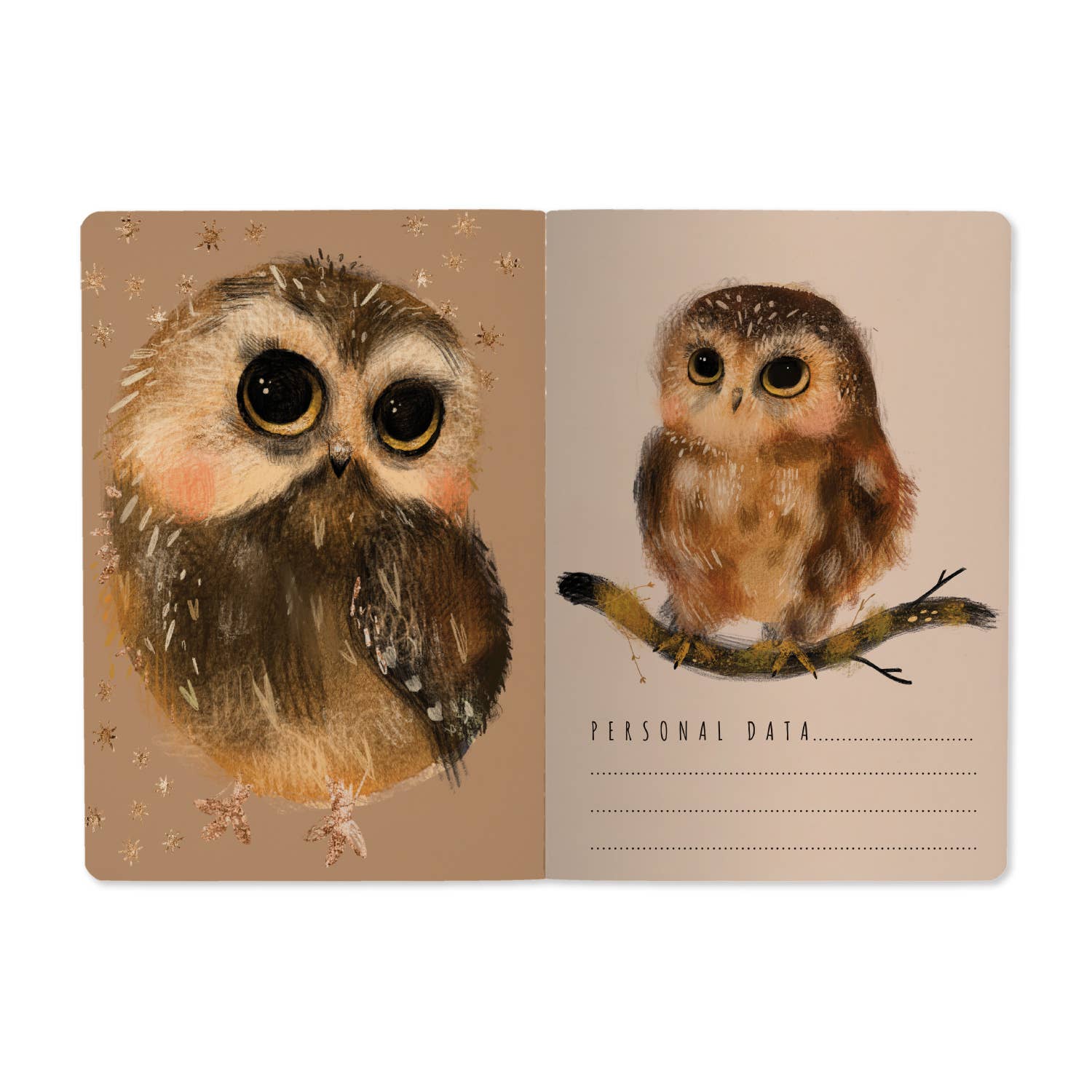 Card with two illustrations of owls on a beige background