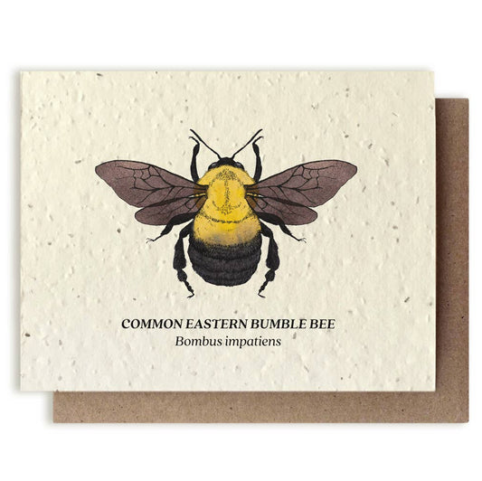 Card with illustration of a common eastern bumble bee and text on a white background