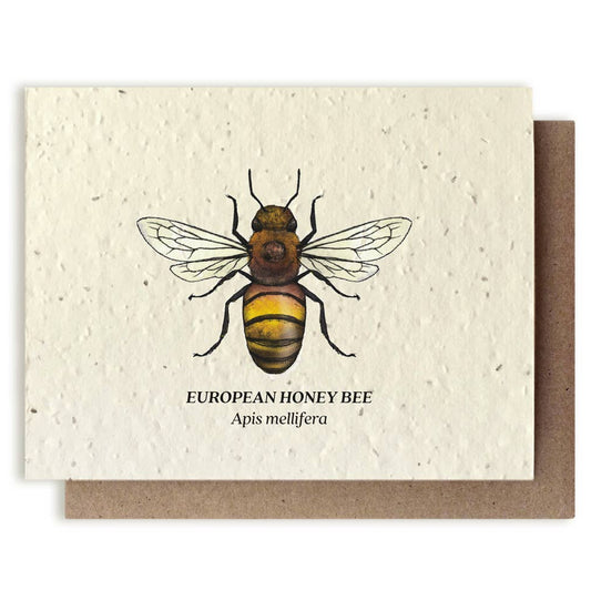 Card with illustration of a European honey bee on a beige background