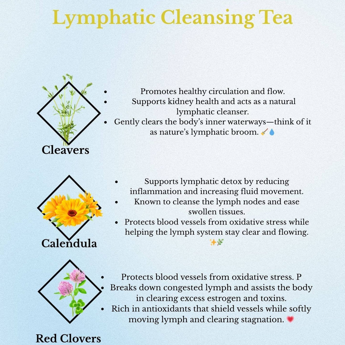 Lymphatic Cleansing Tea